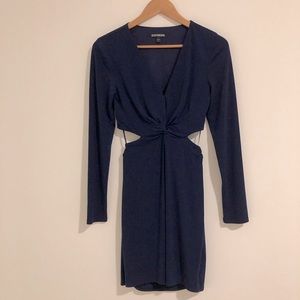 Express Navy Dress
